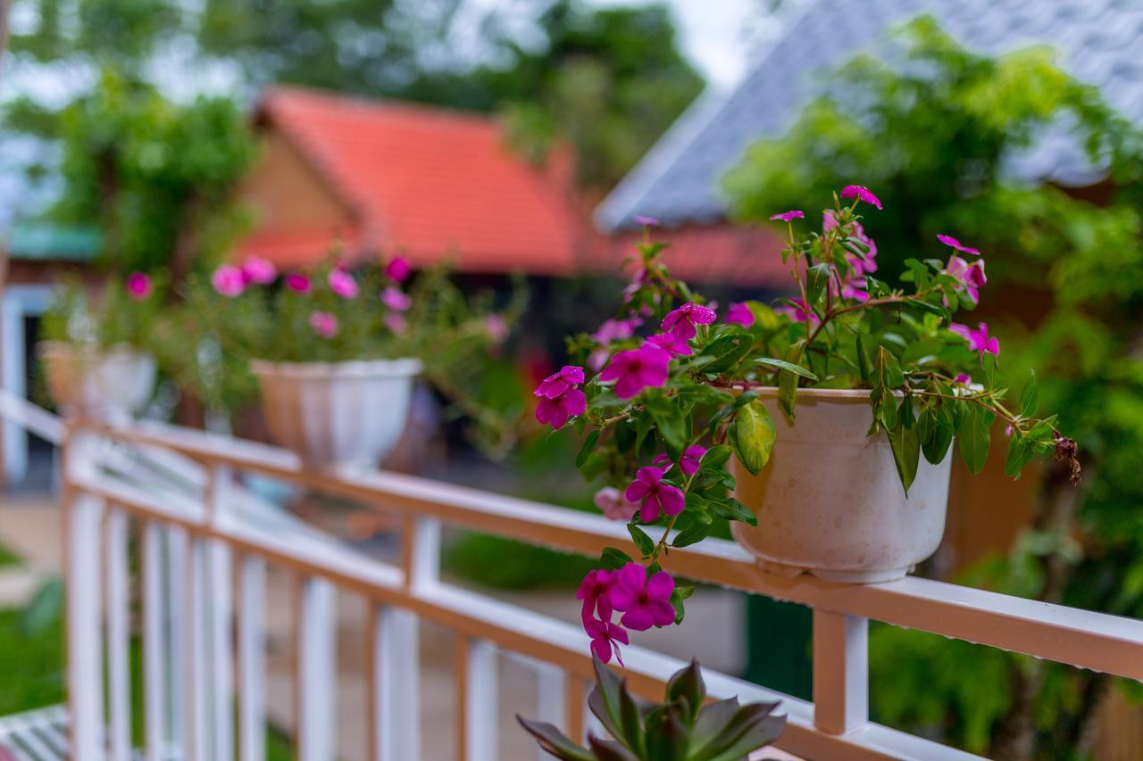 Pomelo Homestay Phong Nha Exterior foto